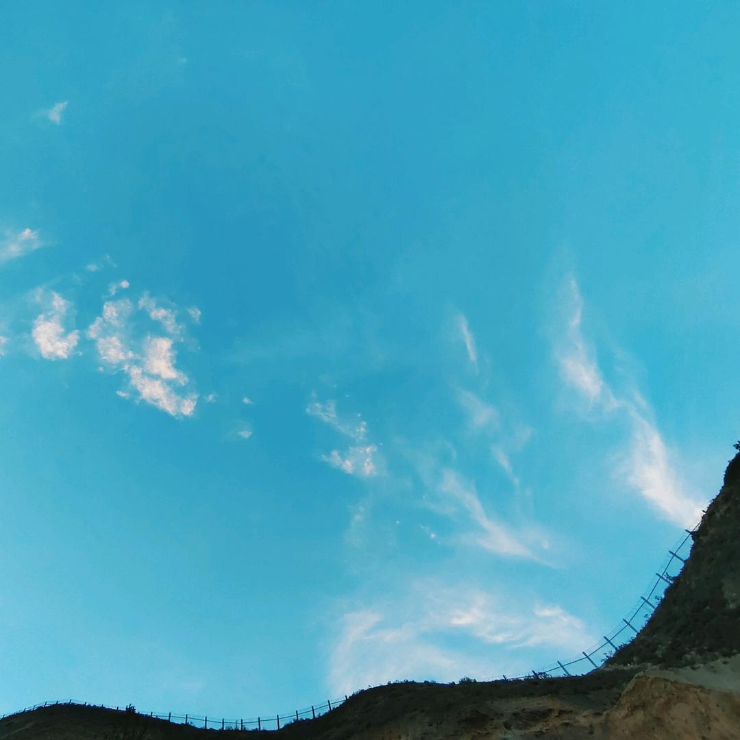 狼里个狼