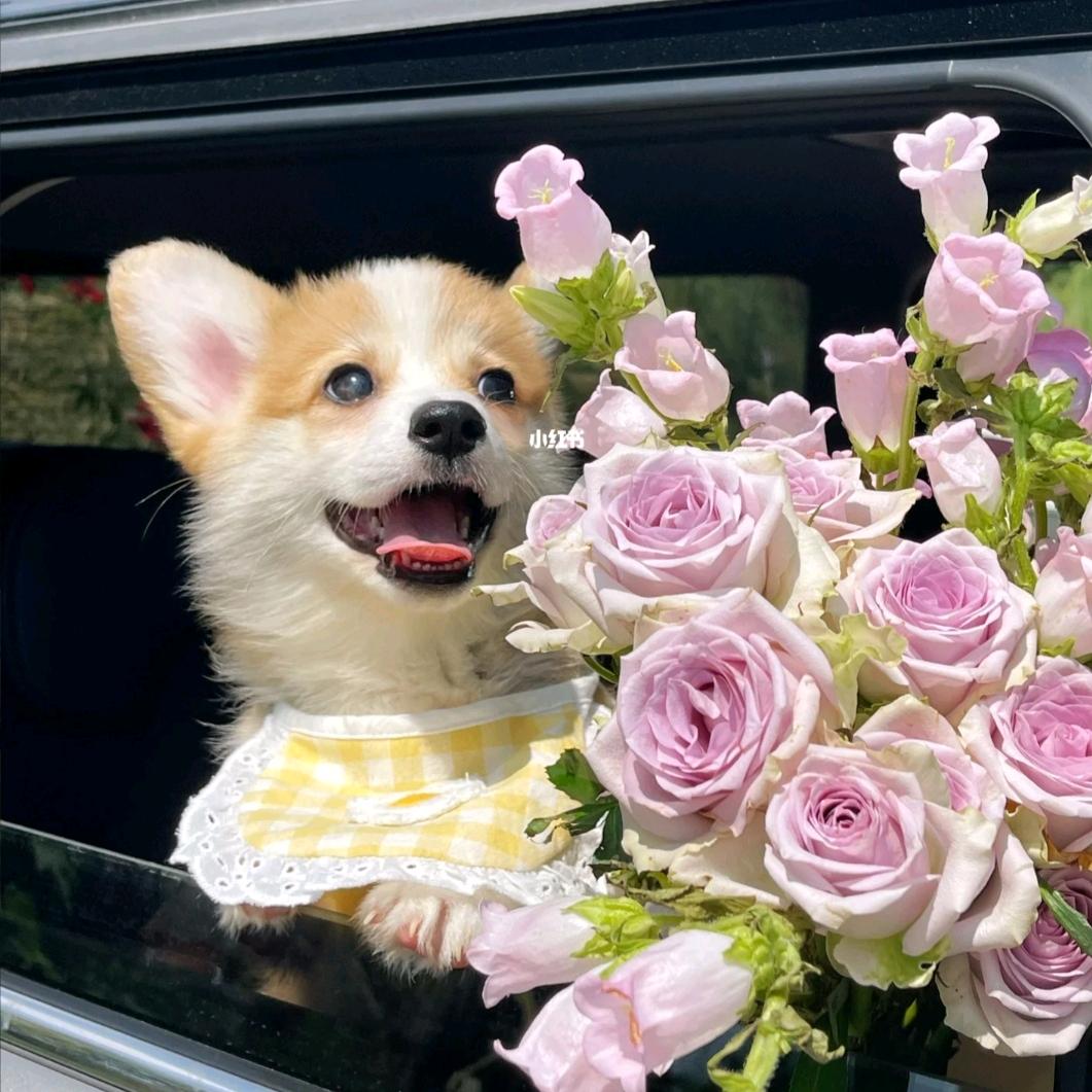 和聚兴冷冻批发