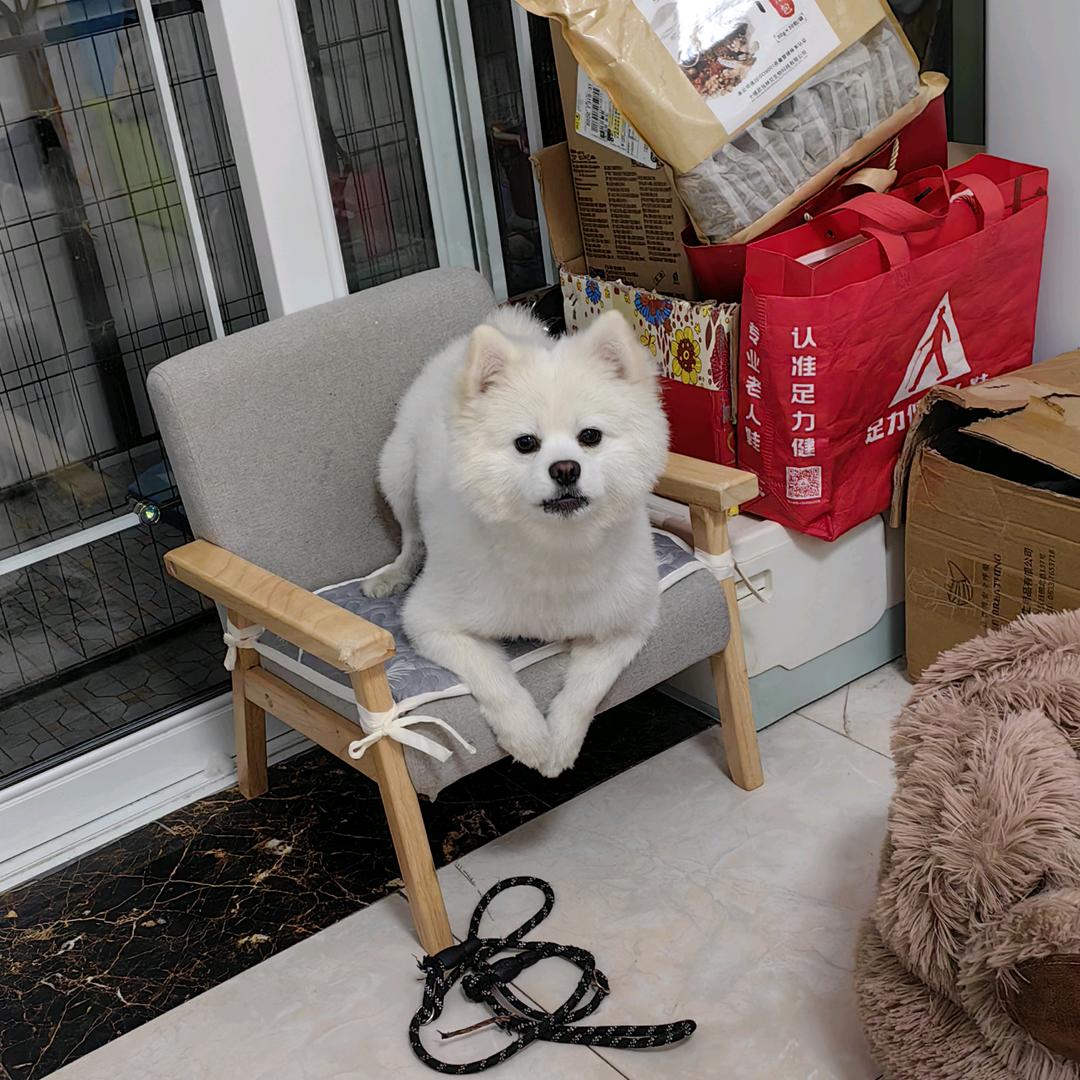 茅台同学好物分享