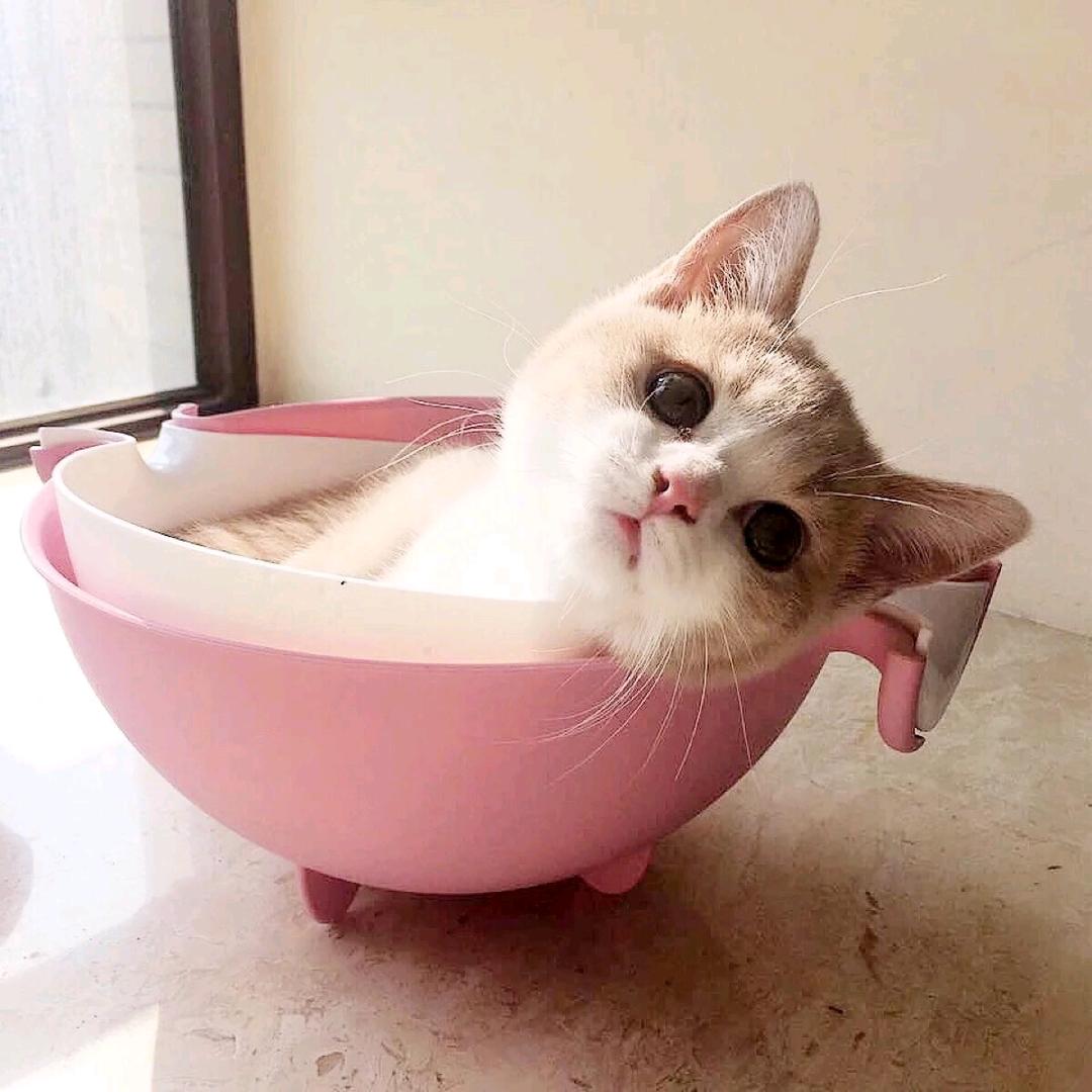 妮妮（好着呢）