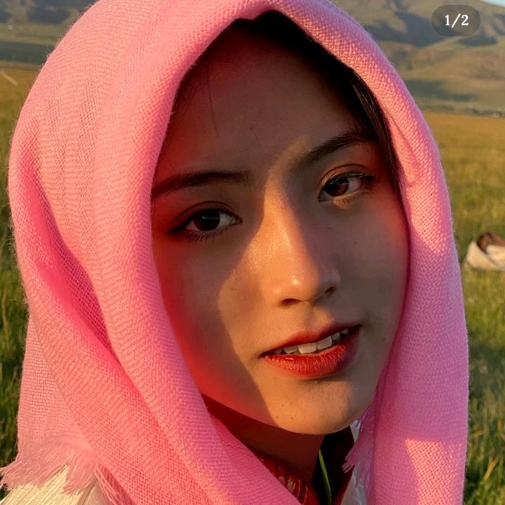 路人摘下的玫瑰🌹