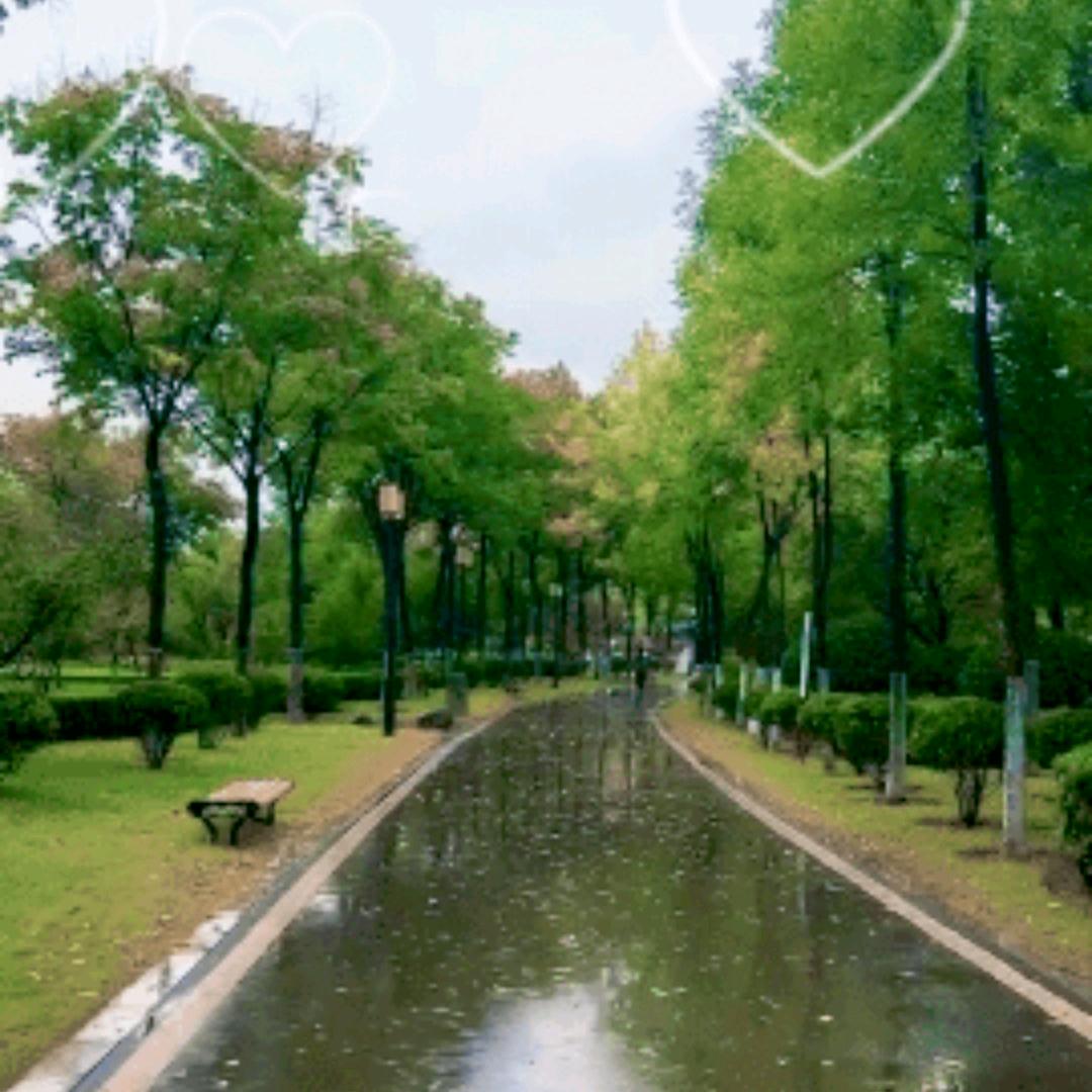 坦然......₅₂₀💞࿐🍎🍎