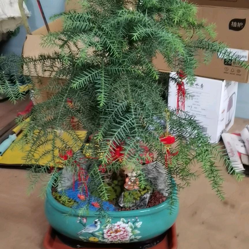 下雨看星星⭐️