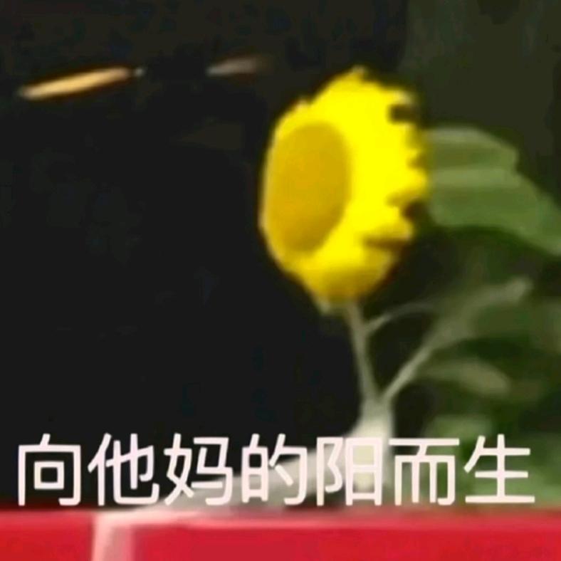 †★三文鱼重度依赖★†（不拒同担