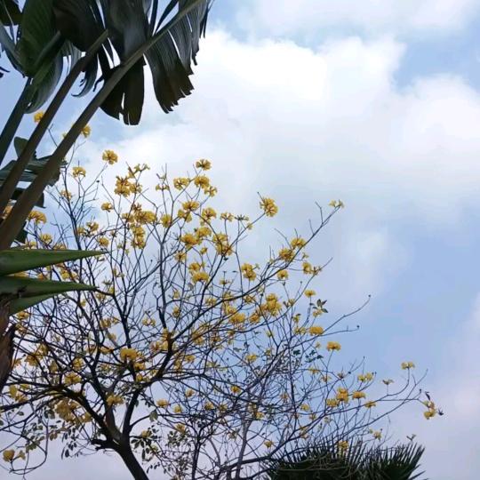 开心开心