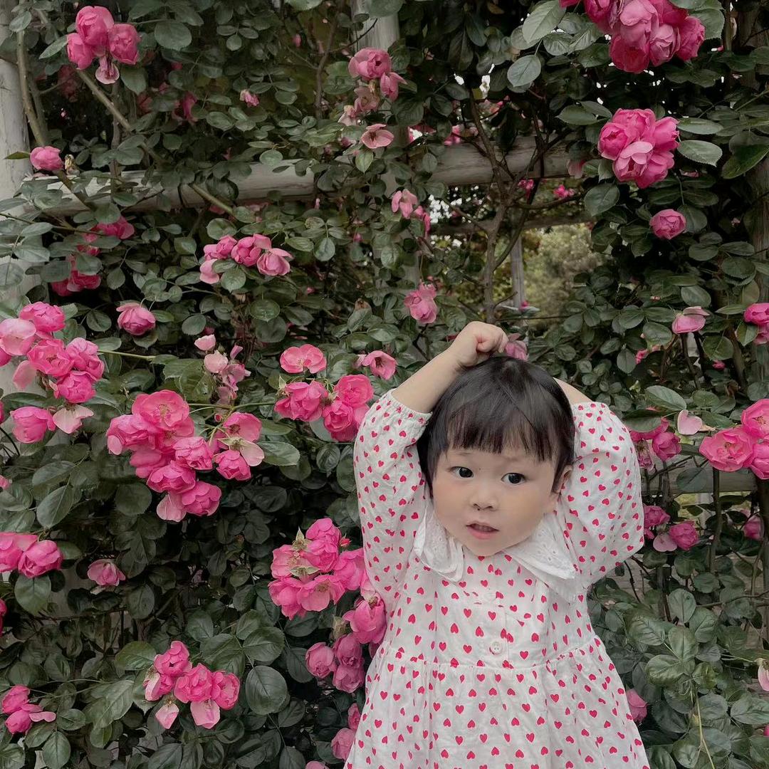 远芳