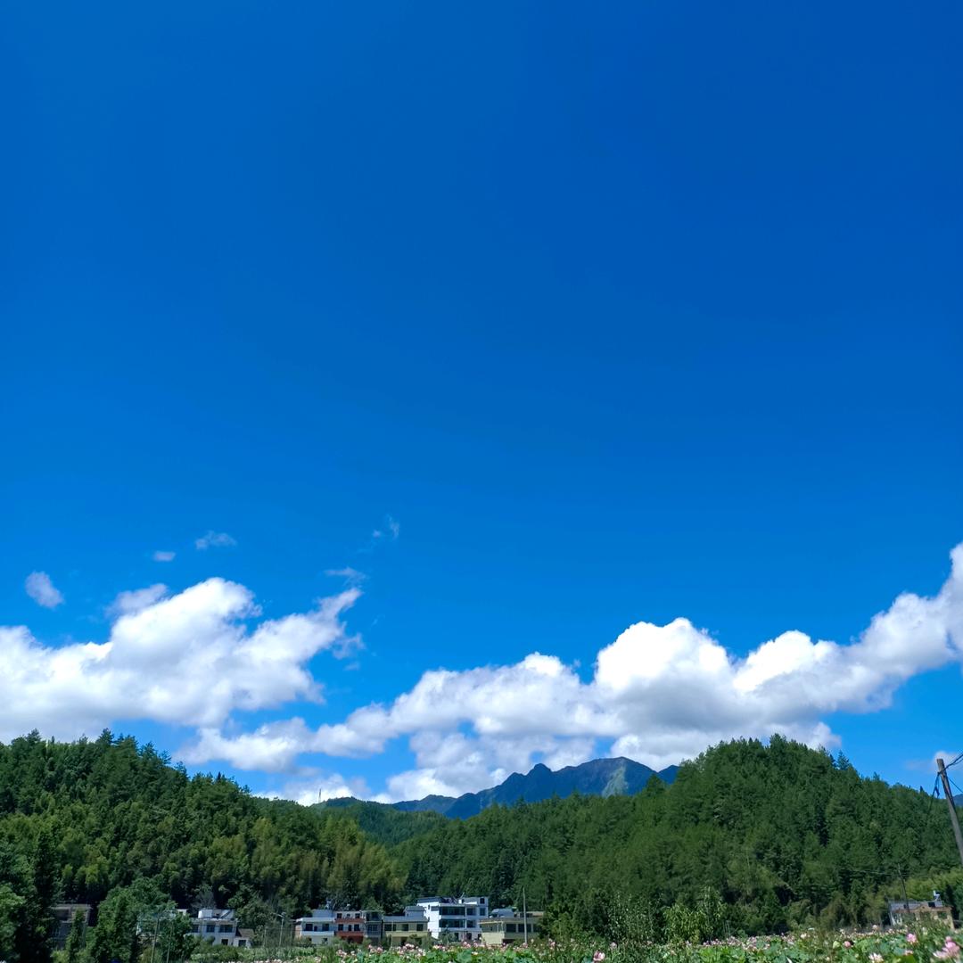 五彩缤纷的幸福