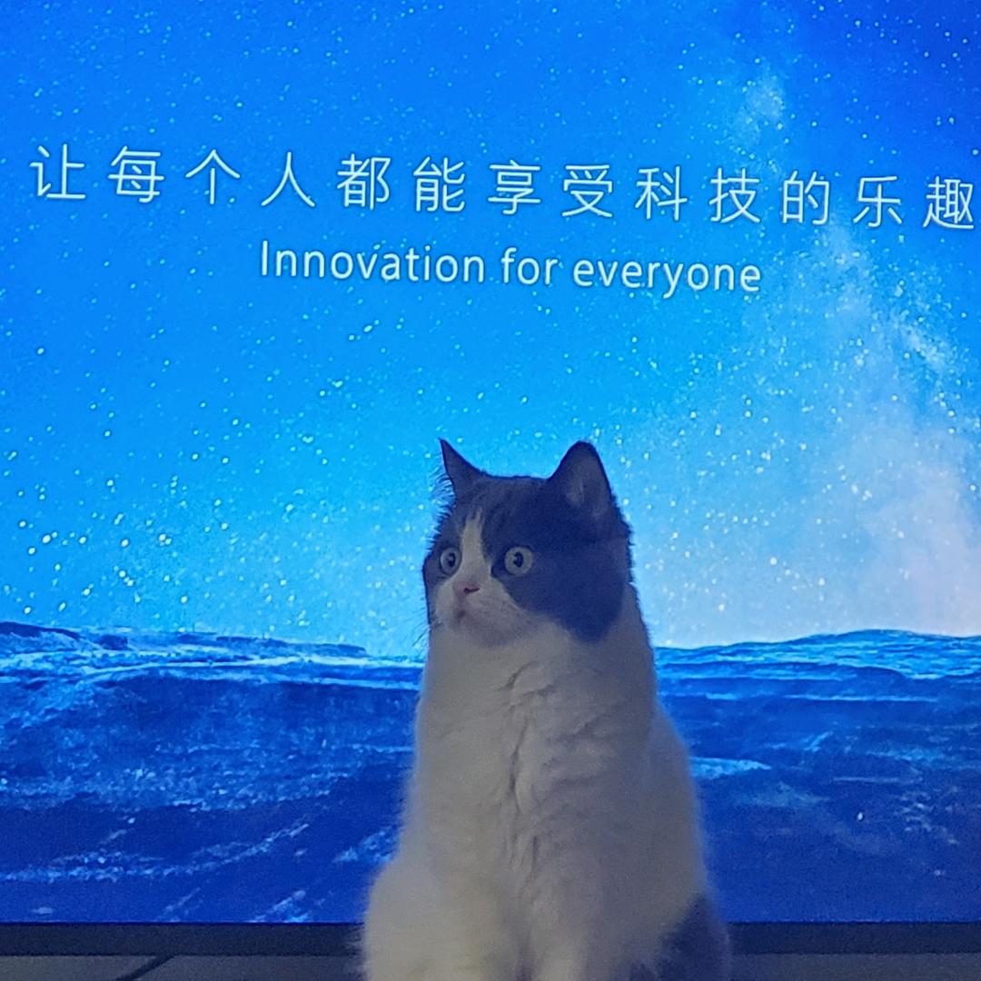 法时光