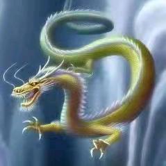 杀手👉小龙哥