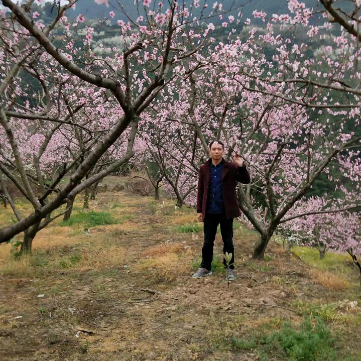 王木匠装饰《木匠锅》