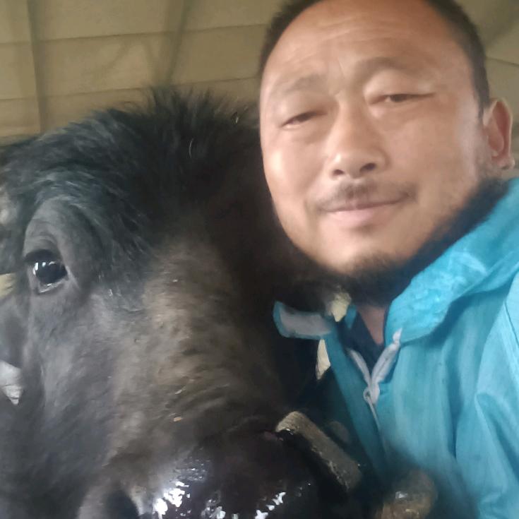 湖北追梦哥《脚踏实地》