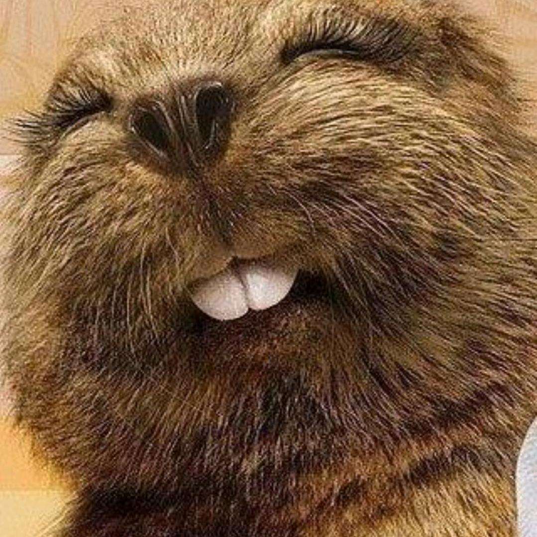 @83年斯文小青年