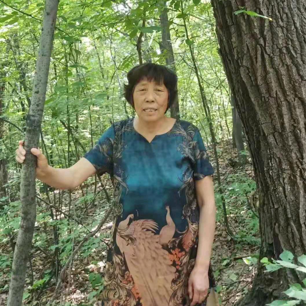 用户1819139283012春暖花开