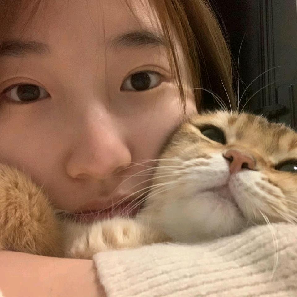 木木.