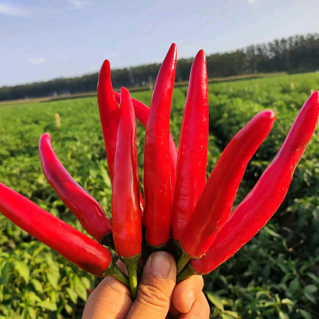 ᭄谋财ઈོ上岸࿐