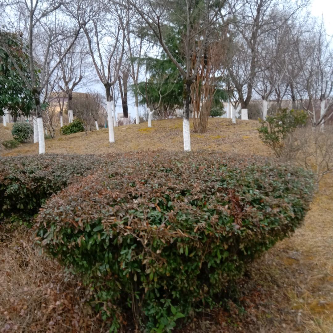 用户784363194904