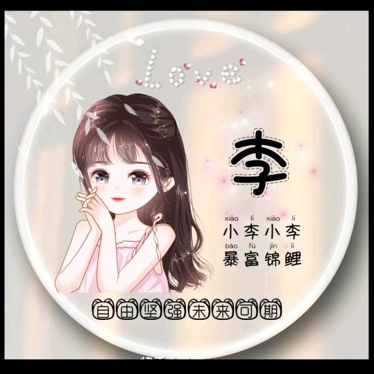 我姓李💔无人理