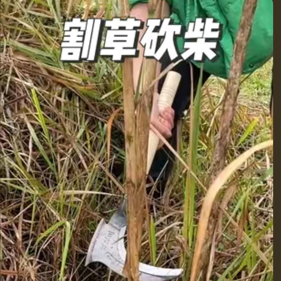 ？？？？！！！！！！