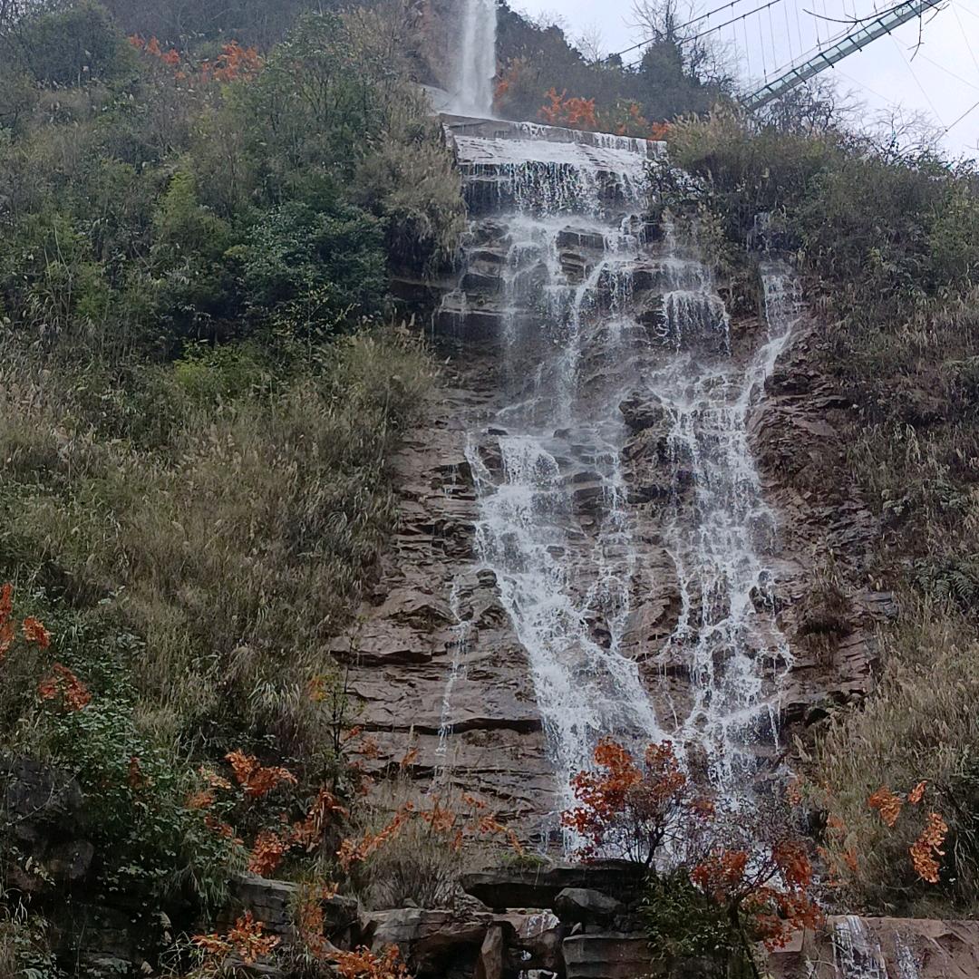 龙