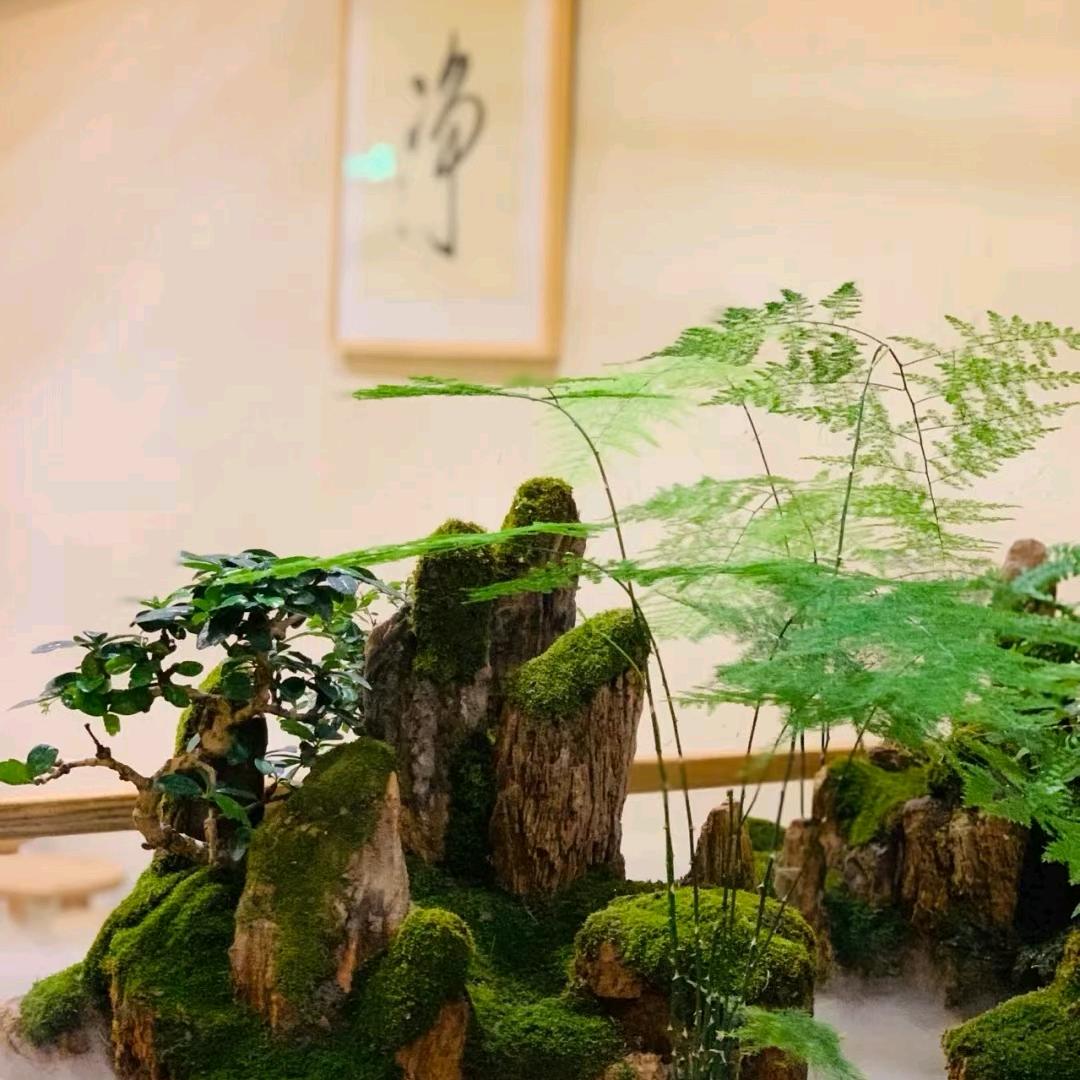 浪潮