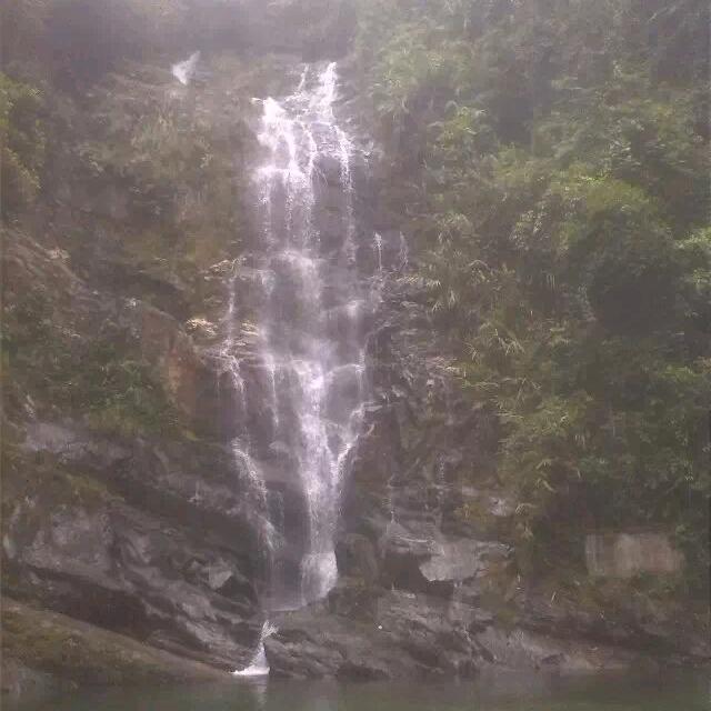 林哥