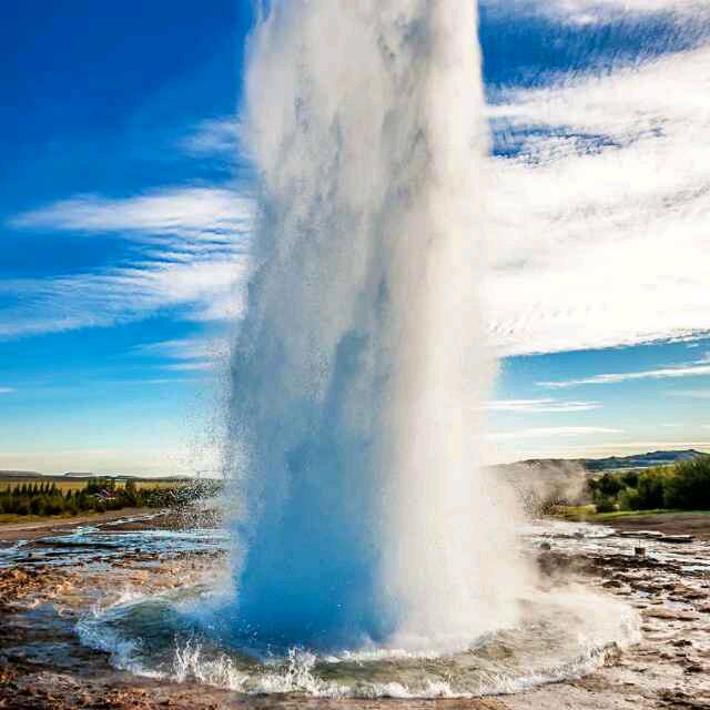🎉🐮简单大叔🐮🇨🇳