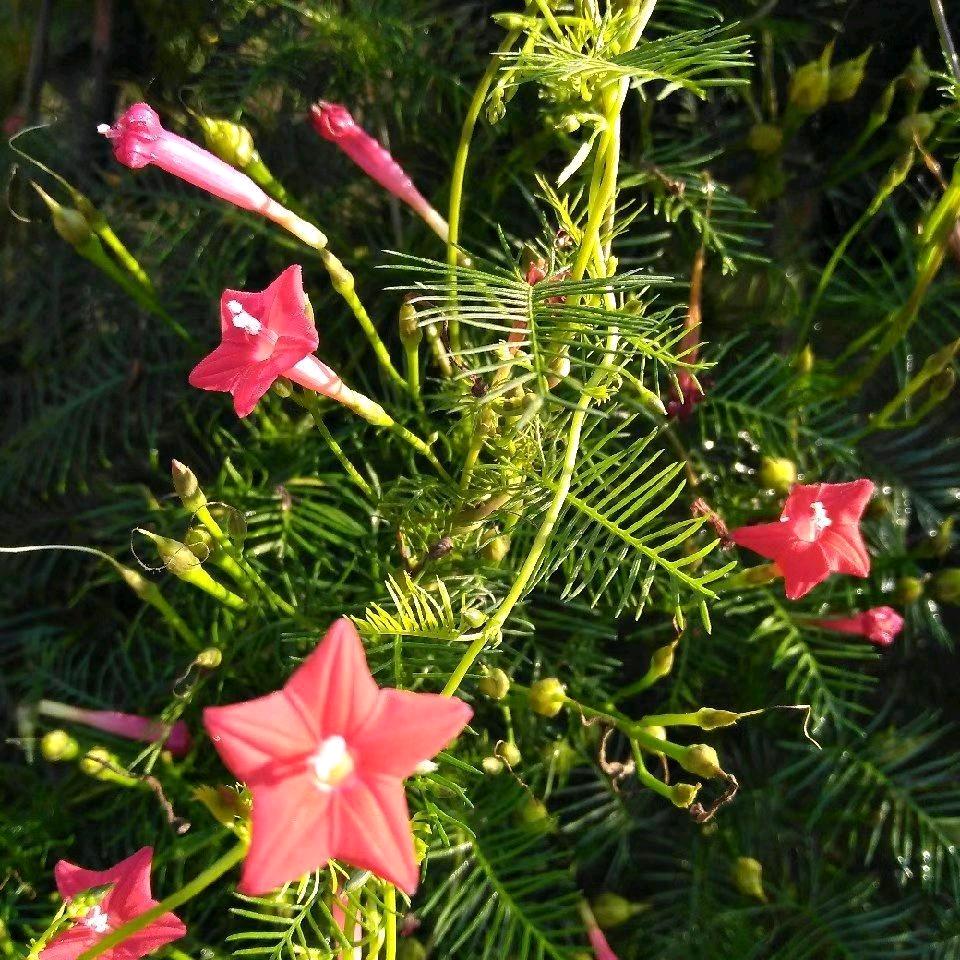 往事随风……🌈