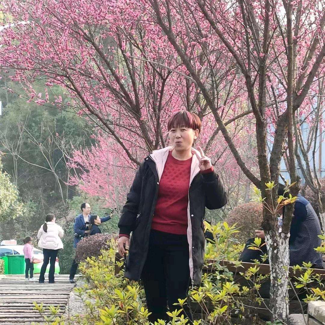 黄敏儿