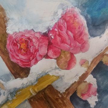 小树头绘画