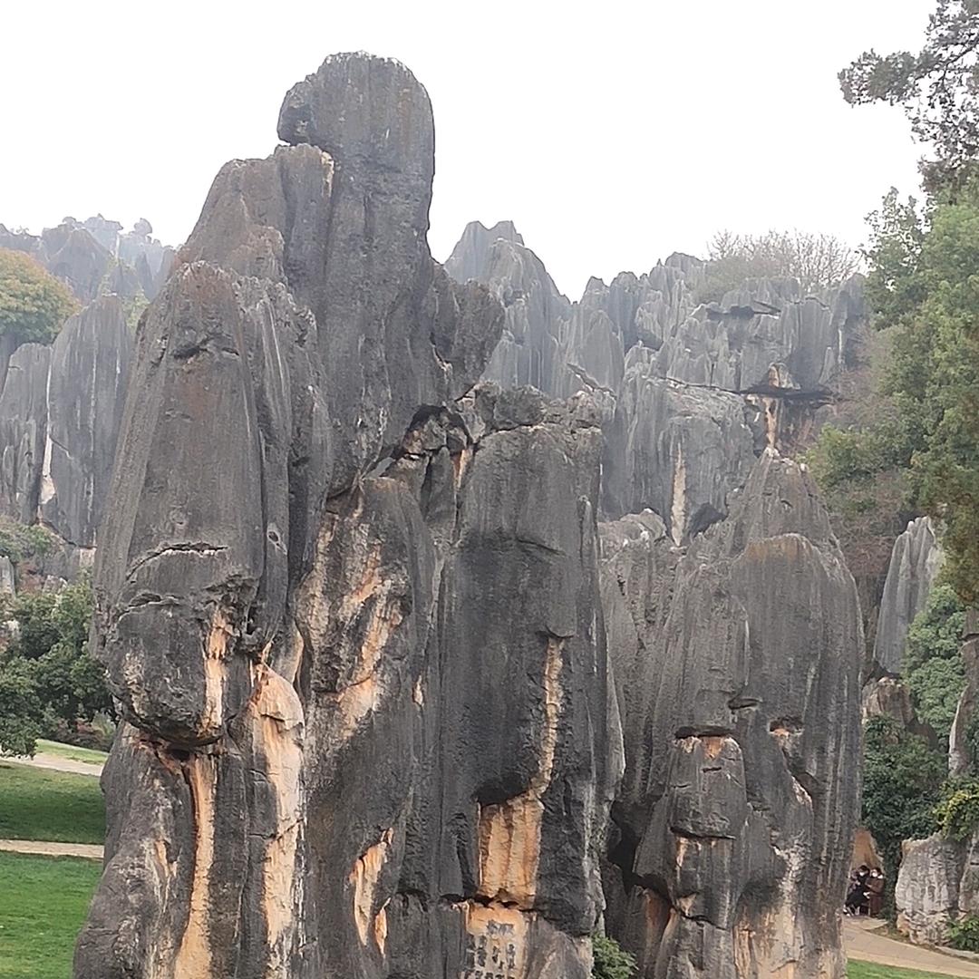 用户河山