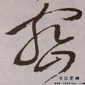薛山大榛子