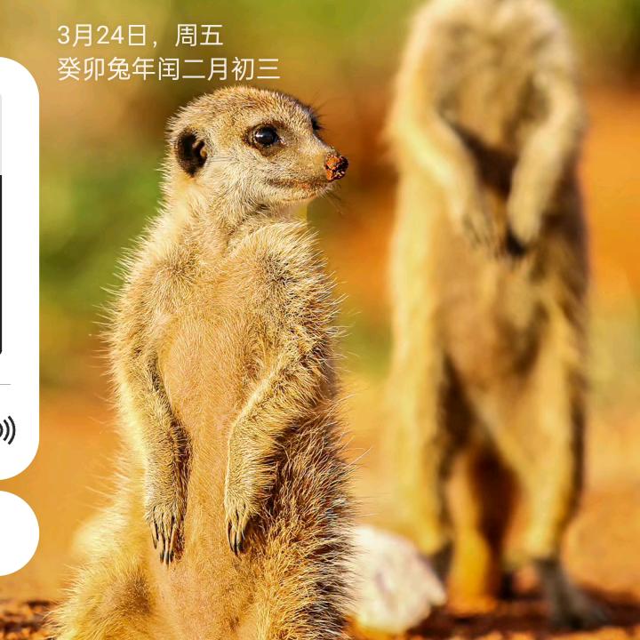 梦洁