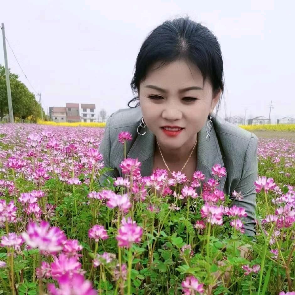 董家三小姐