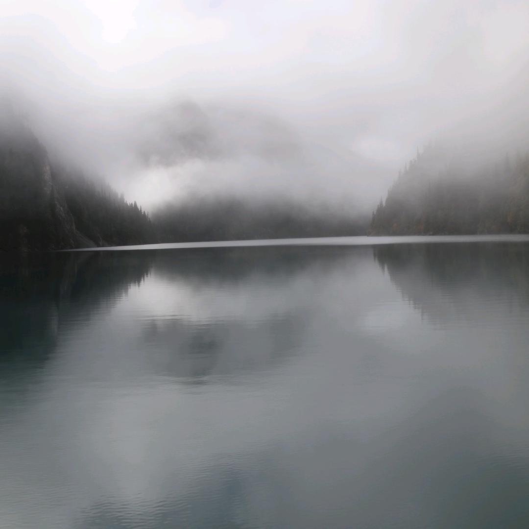 青青草原扛把子