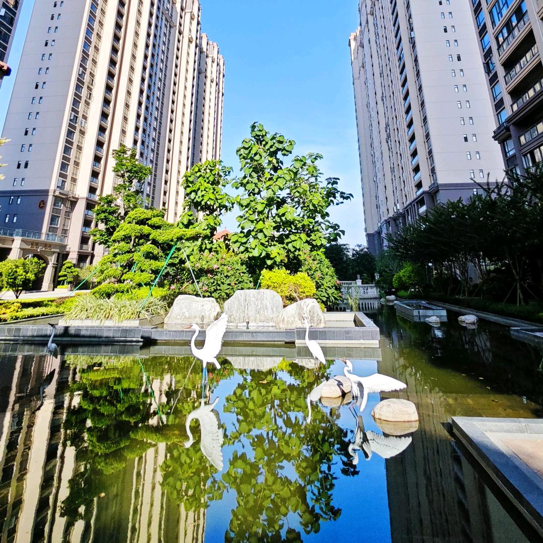 陇来企威悦