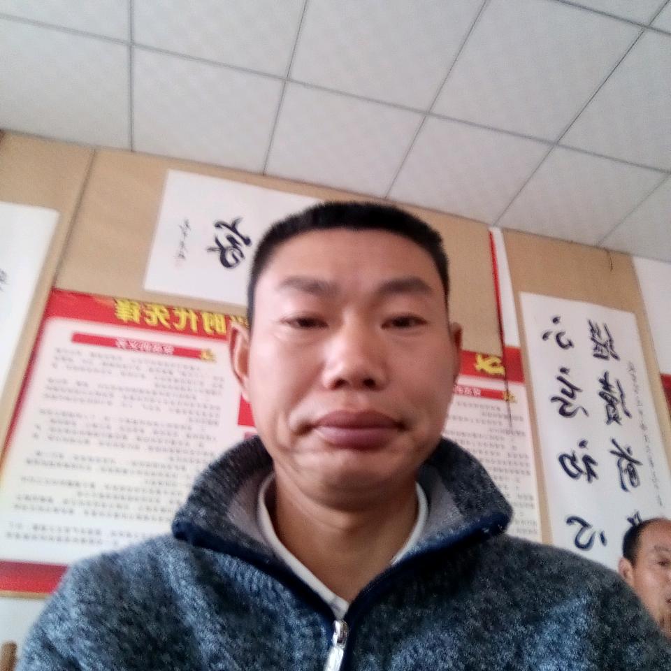 爱的田地歌单