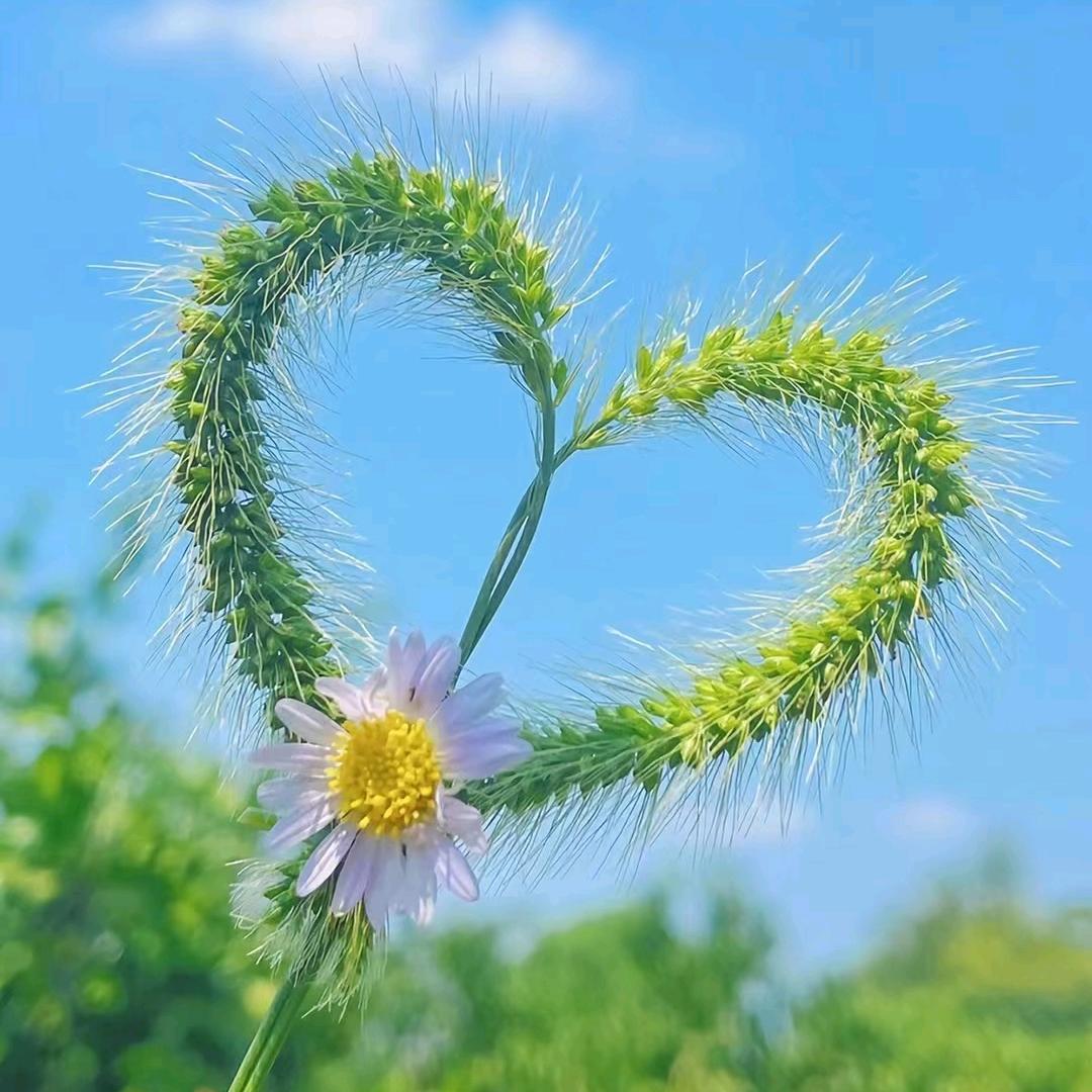 阳光小使者☀️