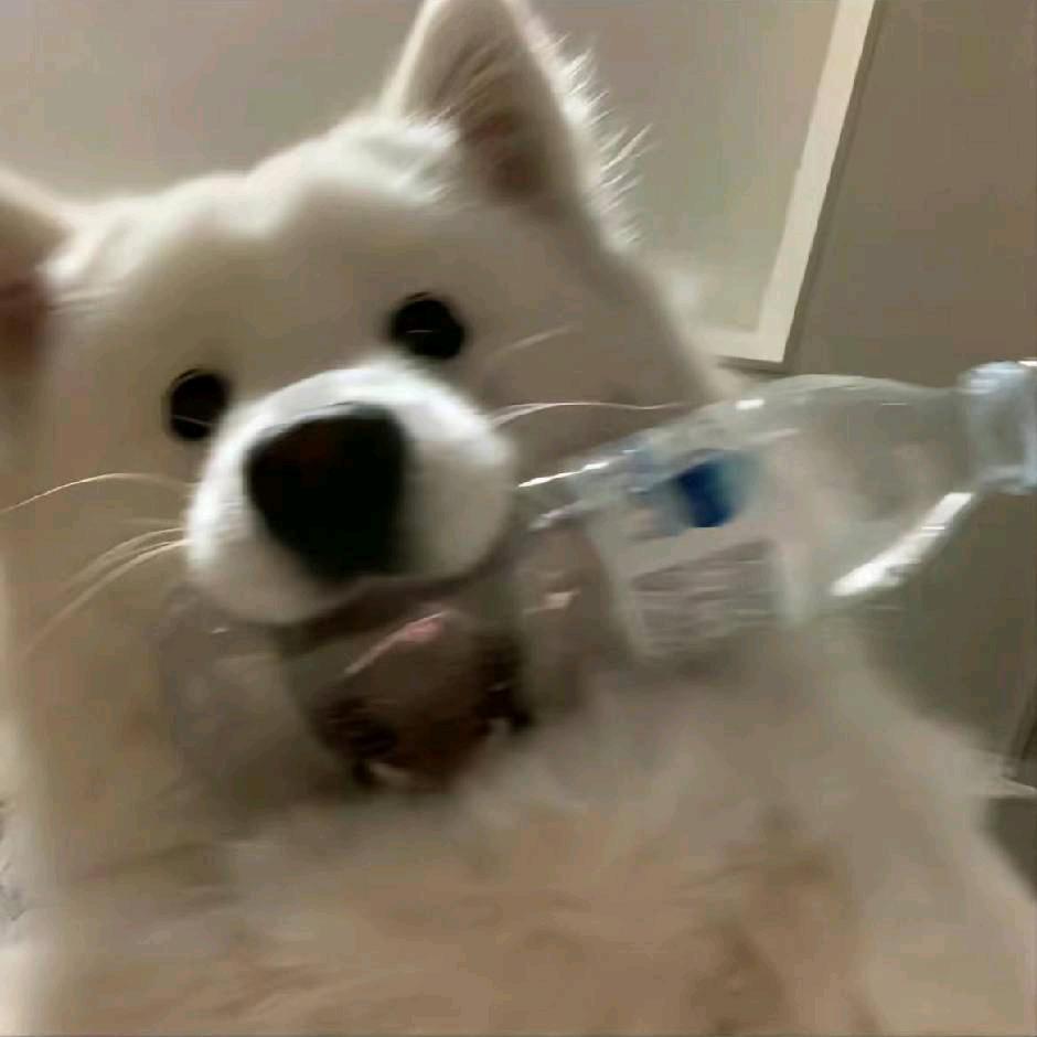 枕下悲绪