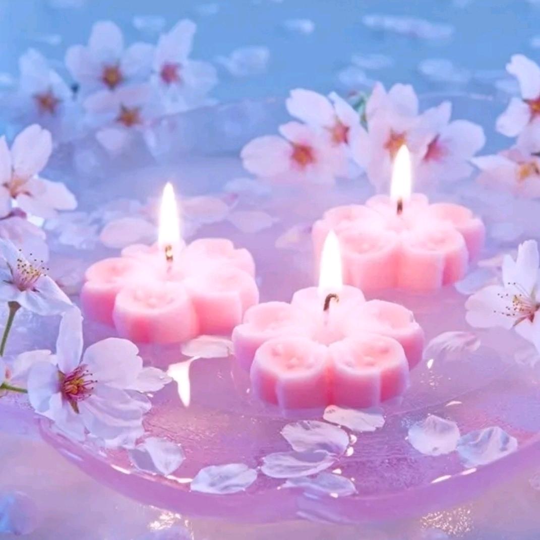 北城锦绣乾城佳佳