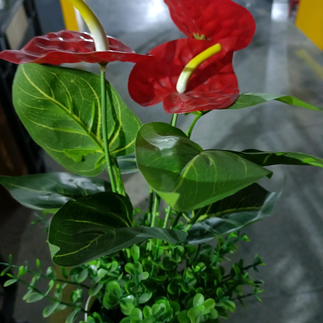 永远快乐每一天