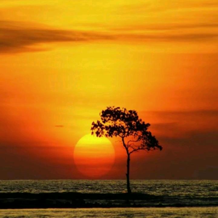 情感🍂🍁深处