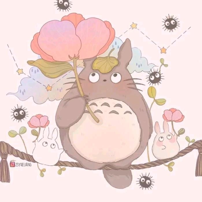 二毛来了