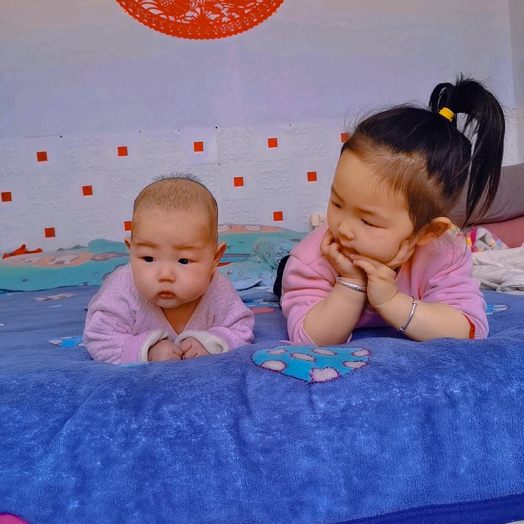 小糖宝和小糖圆的生活圈