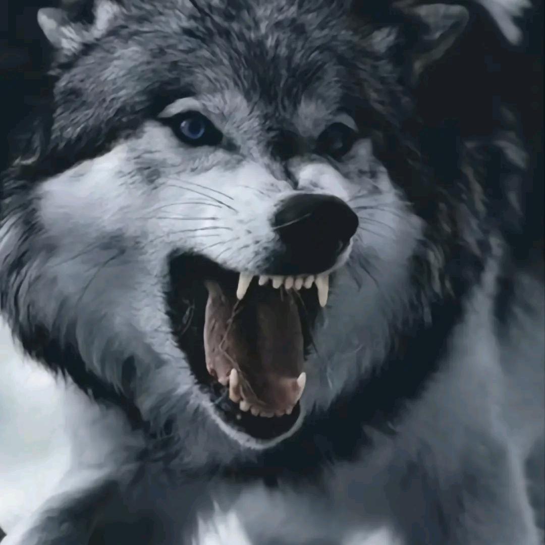 【转身☞伴寂寞@】