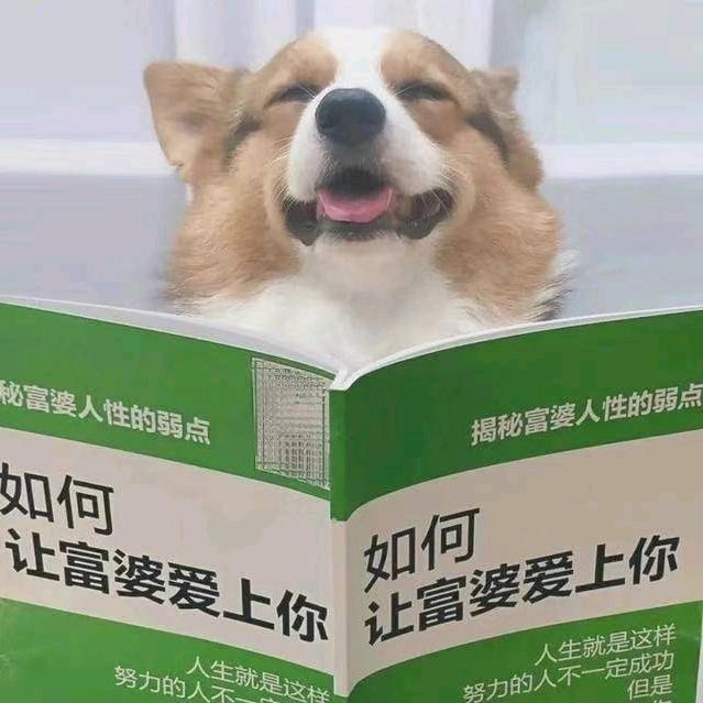 w¹头像