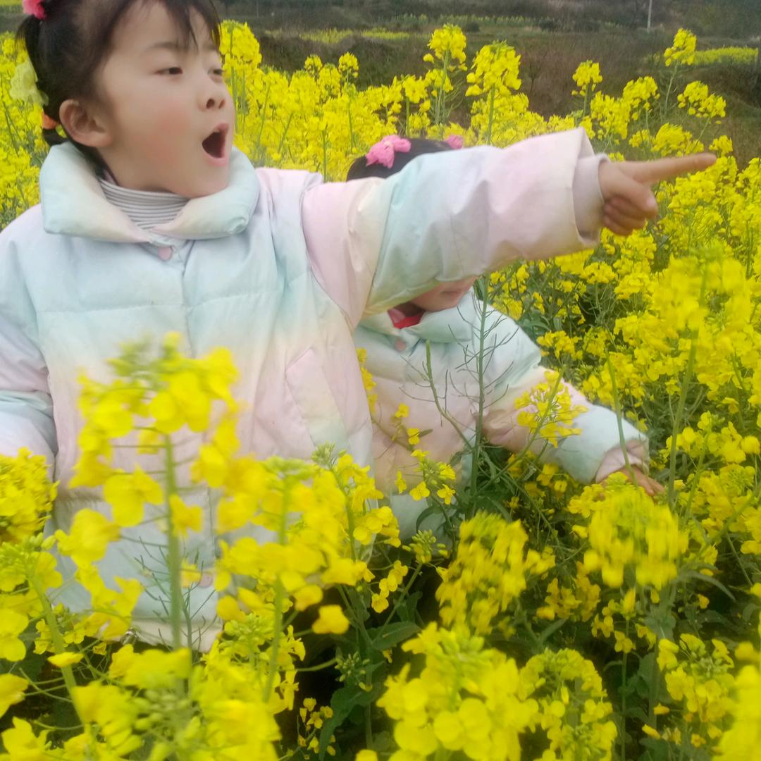 徐梅好人一生平安，🌹🌹🌹