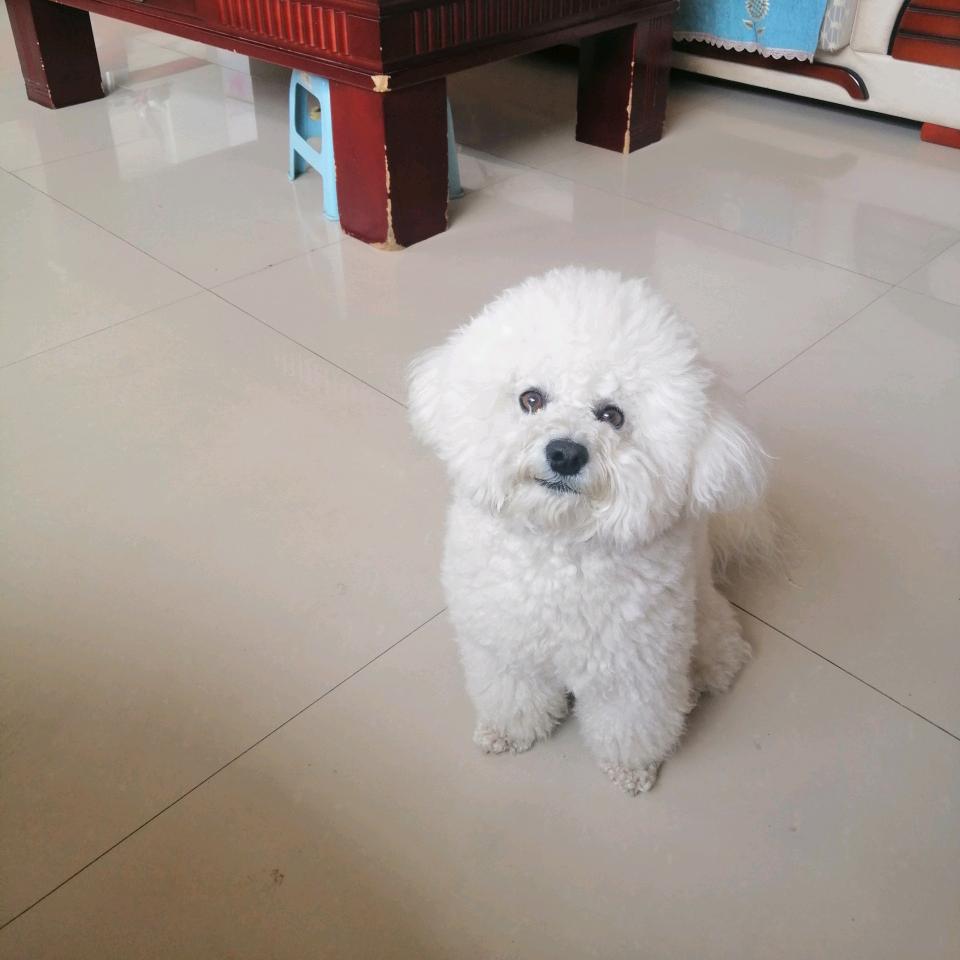 向曰葵