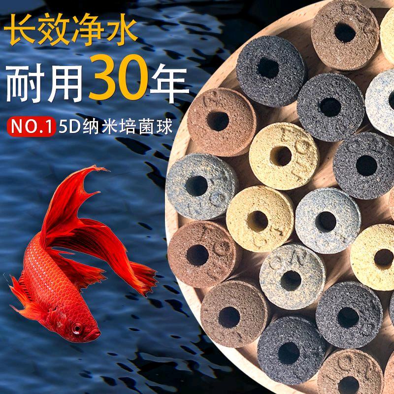 诚信水族工厂店