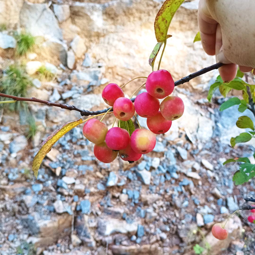 原来我也可以笑