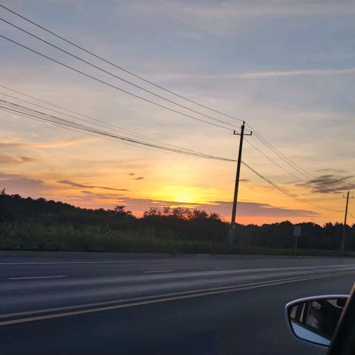 多多米家手机壳